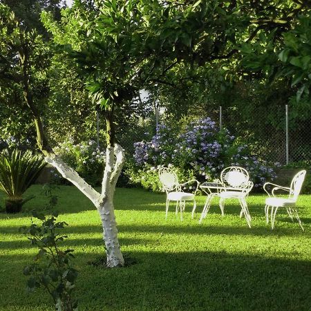 גאוביה Casa Malu Boutique Apartments - No 1 מראה חיצוני תמונה