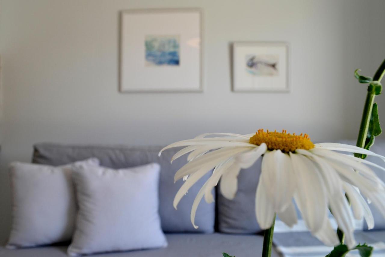 גאוביה Casa Malu Boutique Apartments - No 1 מראה חיצוני תמונה